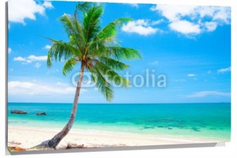Lienzo Palmera en playa solitaria